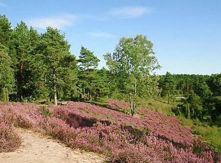 Aparthotel Biohotel Spoektal