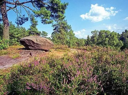 Biohotel Spoektal Aparthotel